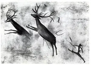 Chasing Prints: Illustration Of Deer Chase