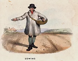 Farmhouse Prints: Illustration Depicting a Farmer Sowing a Field by Hand