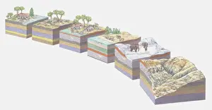Tectonic Prints: Illustration of the different stages of landform evolution and concurrent fossilization of a Triceratops dinosaur