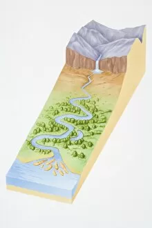 Illustration, three dimensional section of landscape showing river flowing out of mountains
