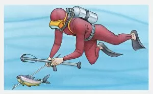 Illustration of diver spear fishing underwater