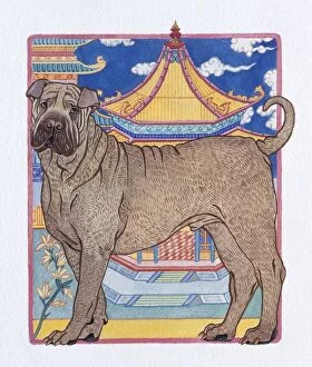 Images Dated 26th August 2009: Illustration of Dog on Guard, representing Chinese Year Of The Dog