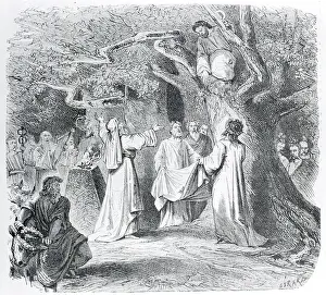 Illustration of Druid Throwing Mistletoe