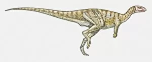 Images Dated 15th February 2010: Illustration of Dryosaurus ornithopod dinosaur