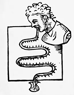 Thermometer Prints: Illustration of Early Thermoscope