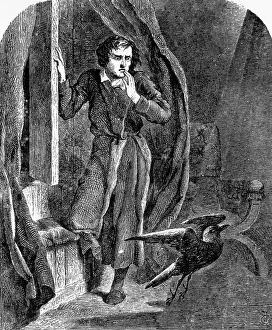 Illustration To Edgar Allen Poe'S Raven