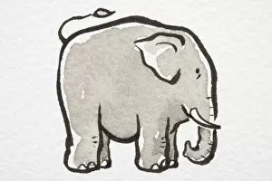 Images Dated 14th August 2006: Illustration, Elephant standing with its tail flipped up, side view