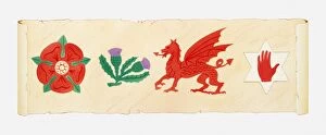Illustration of English Rose, Scottish Thistle, Welsh Dragon and Irish Red Hand on scroll