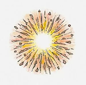 Illustration of exploding particles