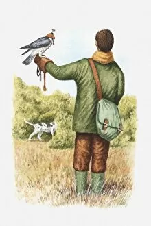 Illustration of falconer with a hooded falcon perching on his arm and pointer dog nearby