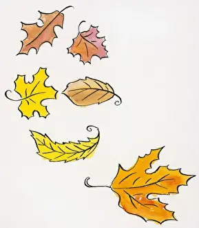 Bronze Prints: Illustration of falling autumn leaves of various shapes and sizes