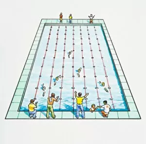 Support Gallery: Illustration of fathers standing at edge of swimming pool supporting children in race