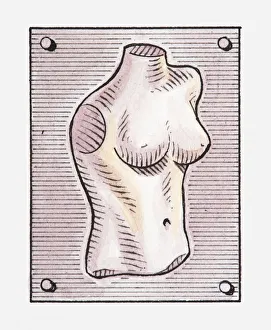 Images Dated 26th April 2010: Illustration of a female torso on a poster