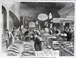 Illustration Of Fish Market
