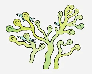 Behind Prints: Illustration of fish swimming behind seaweed providing camouflage