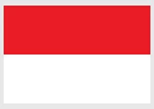 Images Dated 6th February 2009: Illustration of flag of Indonesia, with two equal horizontal bands of red and white