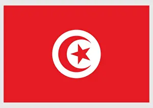 Authority Prints: Illustration of flag of Tunisia