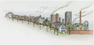 Images Dated 30th October 2008: Illustration of two flocks of birds flying over industrial town