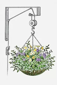 Images Dated 14th June 2010: Illustration of a flower basket attached to pulley system