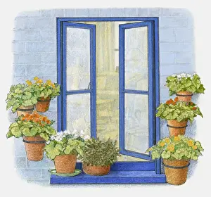 Open Prints: Illustration of flower pots on windowsill and in metal hoops on wall outside window