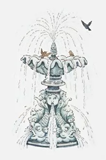 Images Dated 4th January 2011: Illustration of fountain with birds bathing