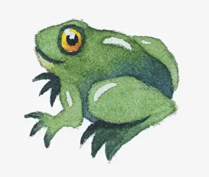 Frog Prints: Illustration of a frog