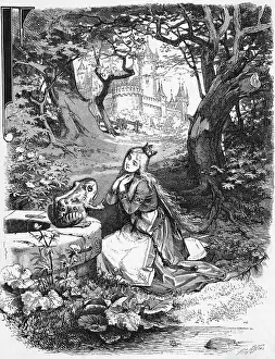 Brother Prints: Illustration From The Frog Prince