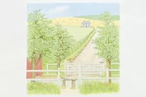 Illustration, fruit trees and wooden field gate by country path leading to secluded farmhouse