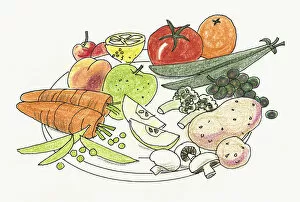 Illustration of fruit and vegetable, including mushrooms, beans, carrots, potatoes, tomato, orange, apple, lemon