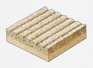 Illustration of furrows in soil after ploughing