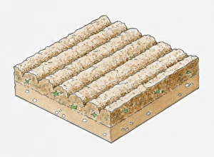 Images Dated 13th April 2010: Illustration of furrows in soil after ploughing