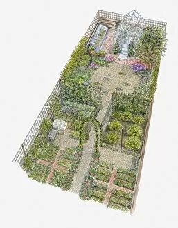 Images Dated 4th April 2011: Illustration of a garden containing greenhouse and herb garden