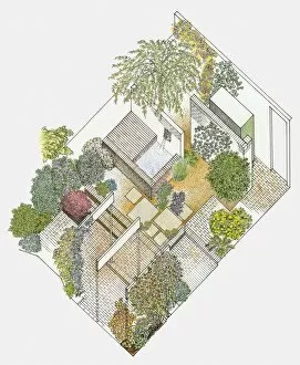 Images Dated 26th February 2010: Illustration of a garden containing paved and gravelled areas, fountain and plants