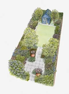 Lawn Collection: Illustration of a garden containing shed, patio area, lawn, shrubs and containers