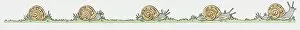 Five Animals Gallery: Illustration of Garden Snails (Helix aspersa) on the move
