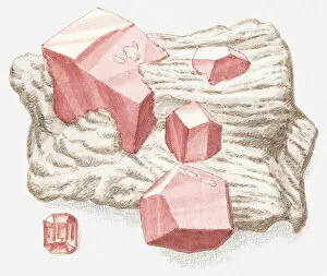 Images Dated 7th July 2011: Illustration of garnet in rough form and cut crystal