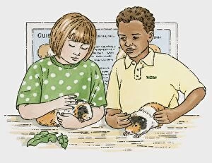 Illustration of girl and boy holding pet guinea pigson table