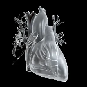 Images Dated 18th December 2018: Illustration of glass heart