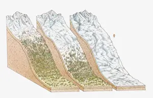 Antarctic Prints: Illustration of global snowlines