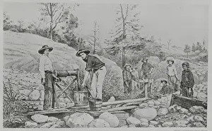 Illustration of Gold Miners
