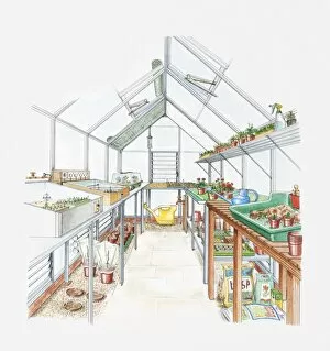 Images Dated 11th June 2010: Illustration of a greenhouse