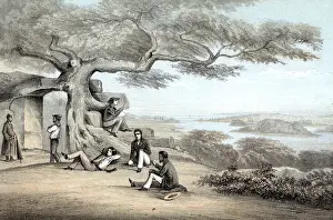 Illustration Of Group Seated Under Tree