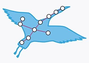 Illustration of Grus constellation representing a crane