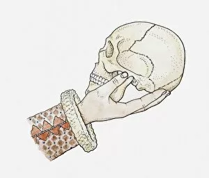 Illustration of hand holding human skull