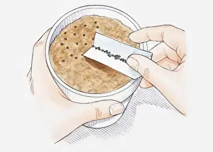Seedling Prints: Illustration of hand scattering seeds on compost in plant pot