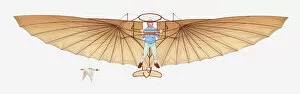 Images Dated 14th June 2011: Illustration of a hang glider and a bird in mid-air