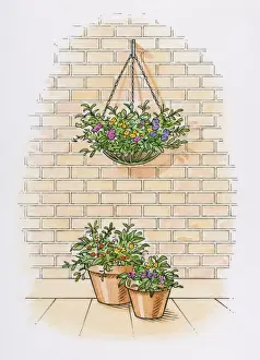 Brick Wall Prints: Illustration of hanging basket on brick wall with potted plants on patio below
