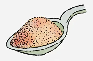 Spoon Prints: Illustration of heap of orchid seeds on spoon
