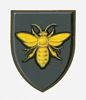 Images Dated 17th June 2010: Illustration of heraldic symbol of bee on shield representing efficient industry