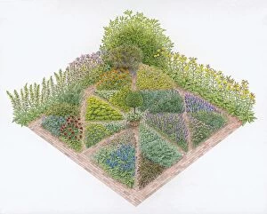 Landscaped Gallery: Illustration of herb beds in formal garden including Borage, Marjoram, Chives, Wormwood, Lemon Balm